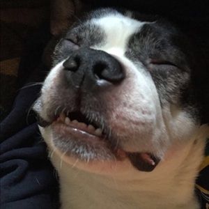 Meet your Posher, Marco